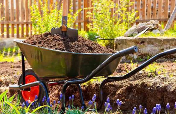 Eco-Friendly Landscaping Materials