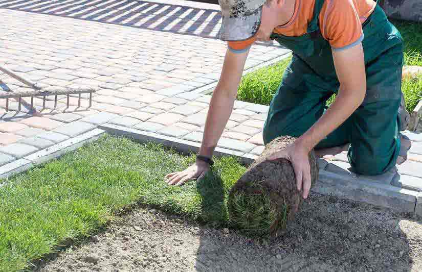 Smooth Landscaping Process