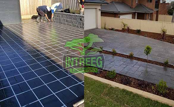 Intreeg Landscapes Sydney