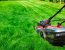 Seasonal Lawn Care Calendar